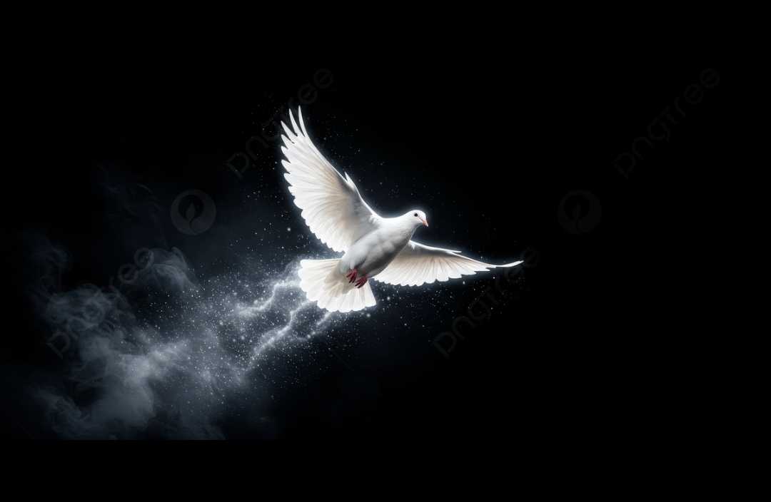 بھارتی خفیہ ایجنسی ٫٫را٬٬ اور اؔر۔ایس۔ایس پر پابندی لگانے USCIRF کا مطالبہ